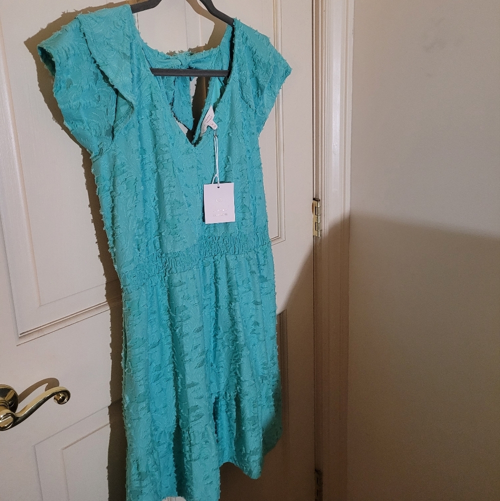 NWT Lauren Conrad Dress